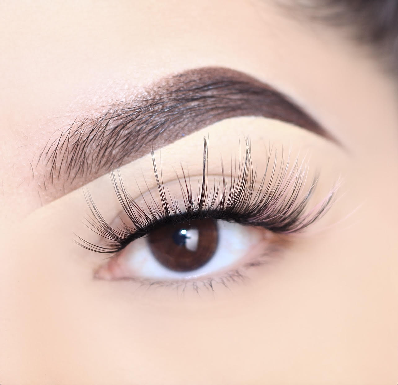 Color Teeze Lashes: All That Pink 67009