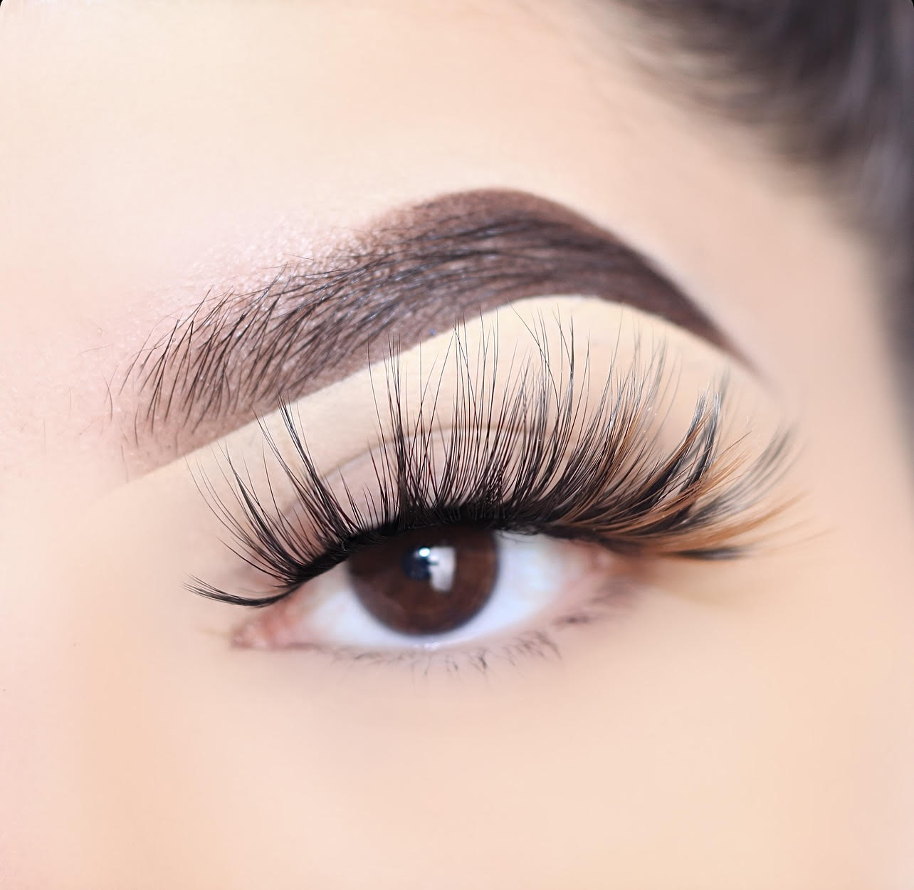 Color Teeze Lashes: Chai Latte 67008