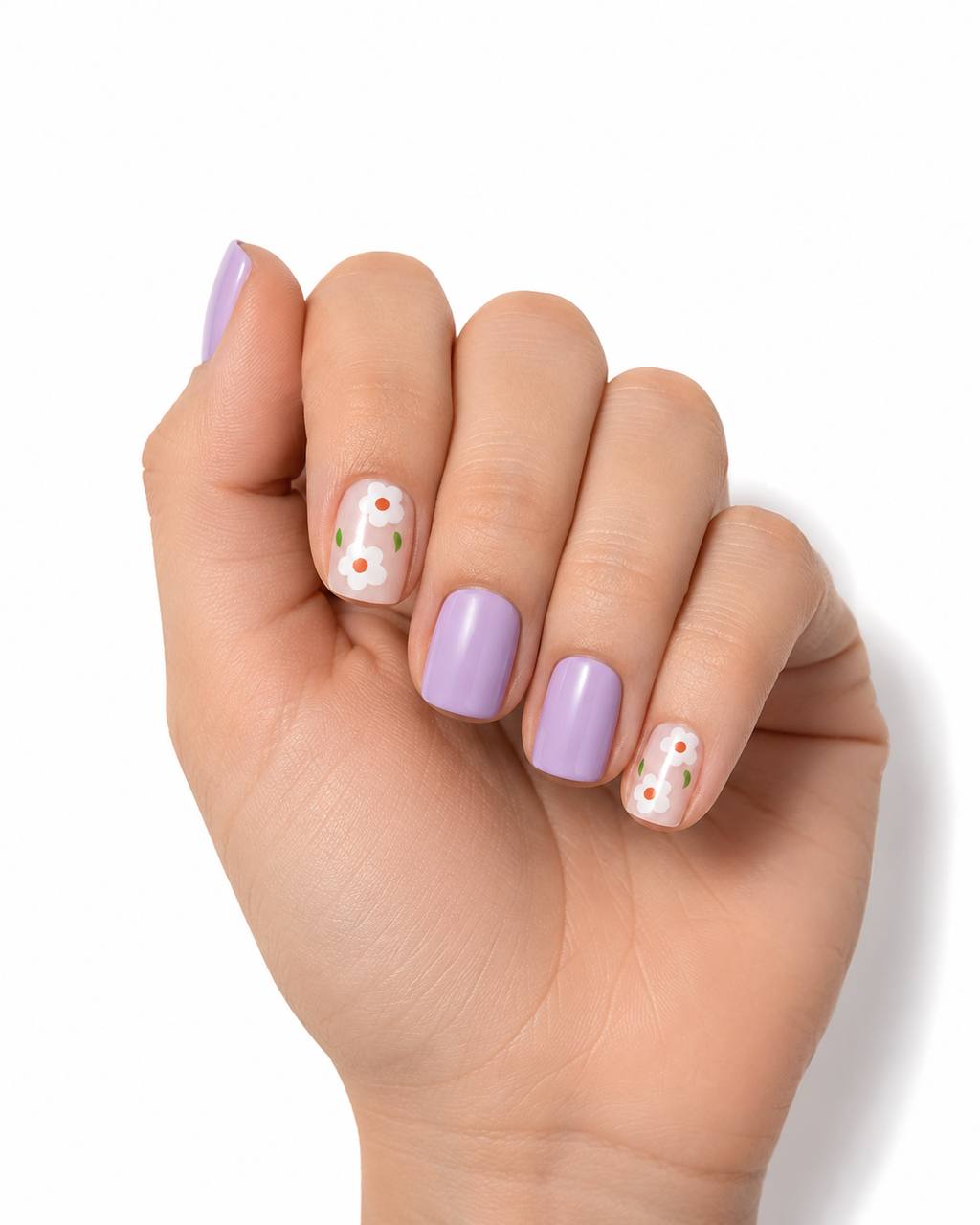 Petal Dream 65555