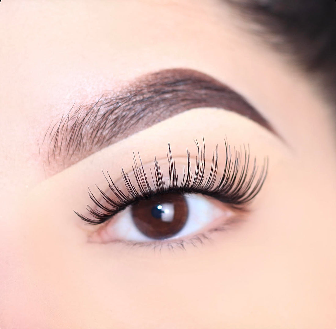 Color Teeze Lashes: Purple Reign 67007