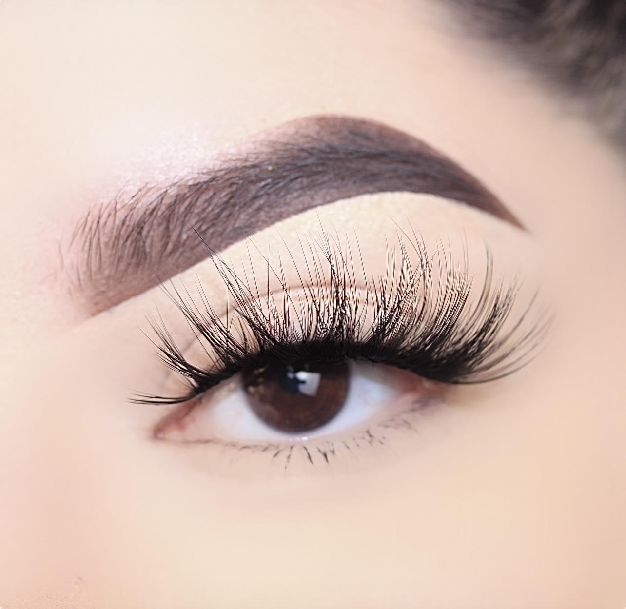 Bare Naturelle Human Lashes-3D Tapered- Velvet Touch