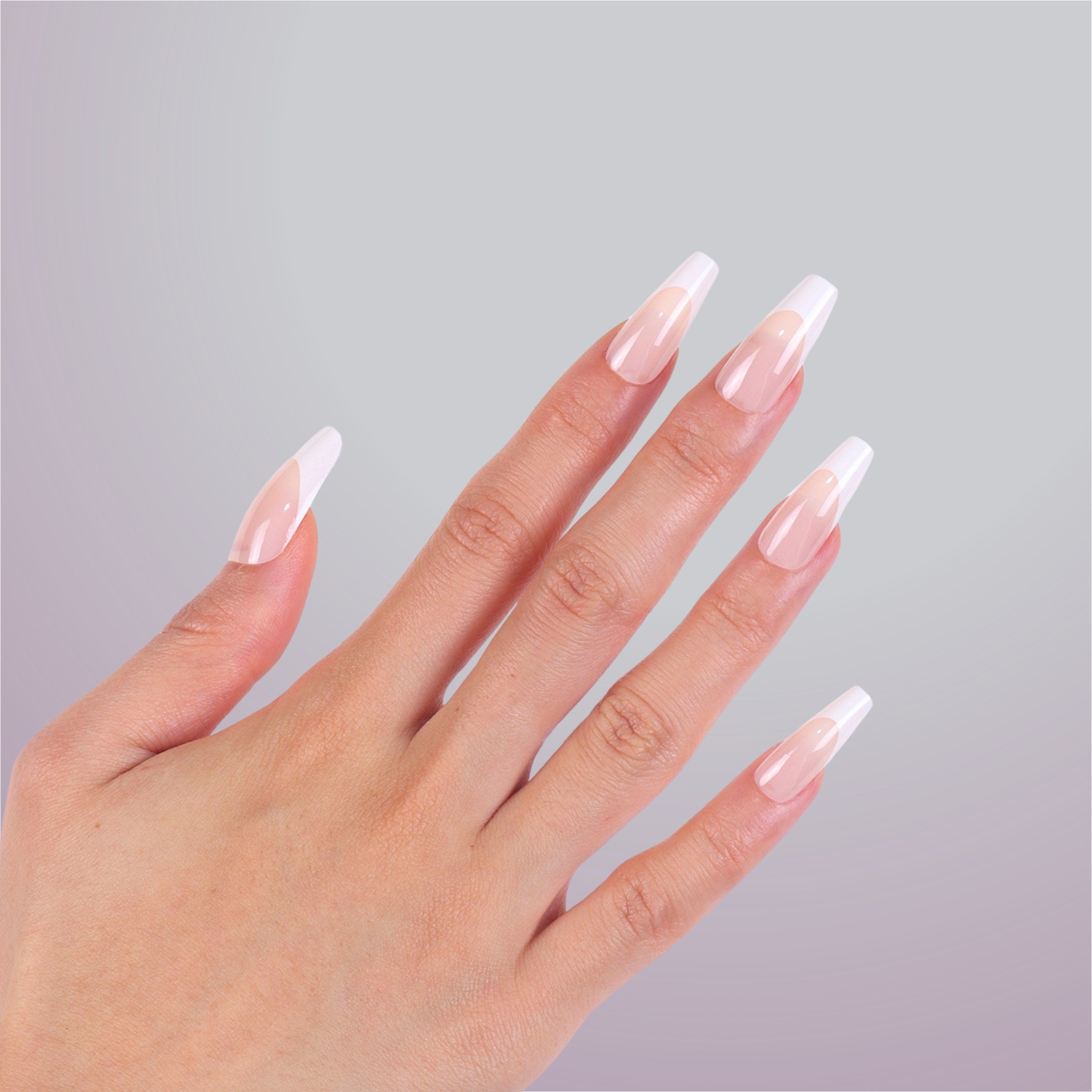 Bare Luxx - French Dream (24 Nails x 6 Styles, 144 nails) 65515