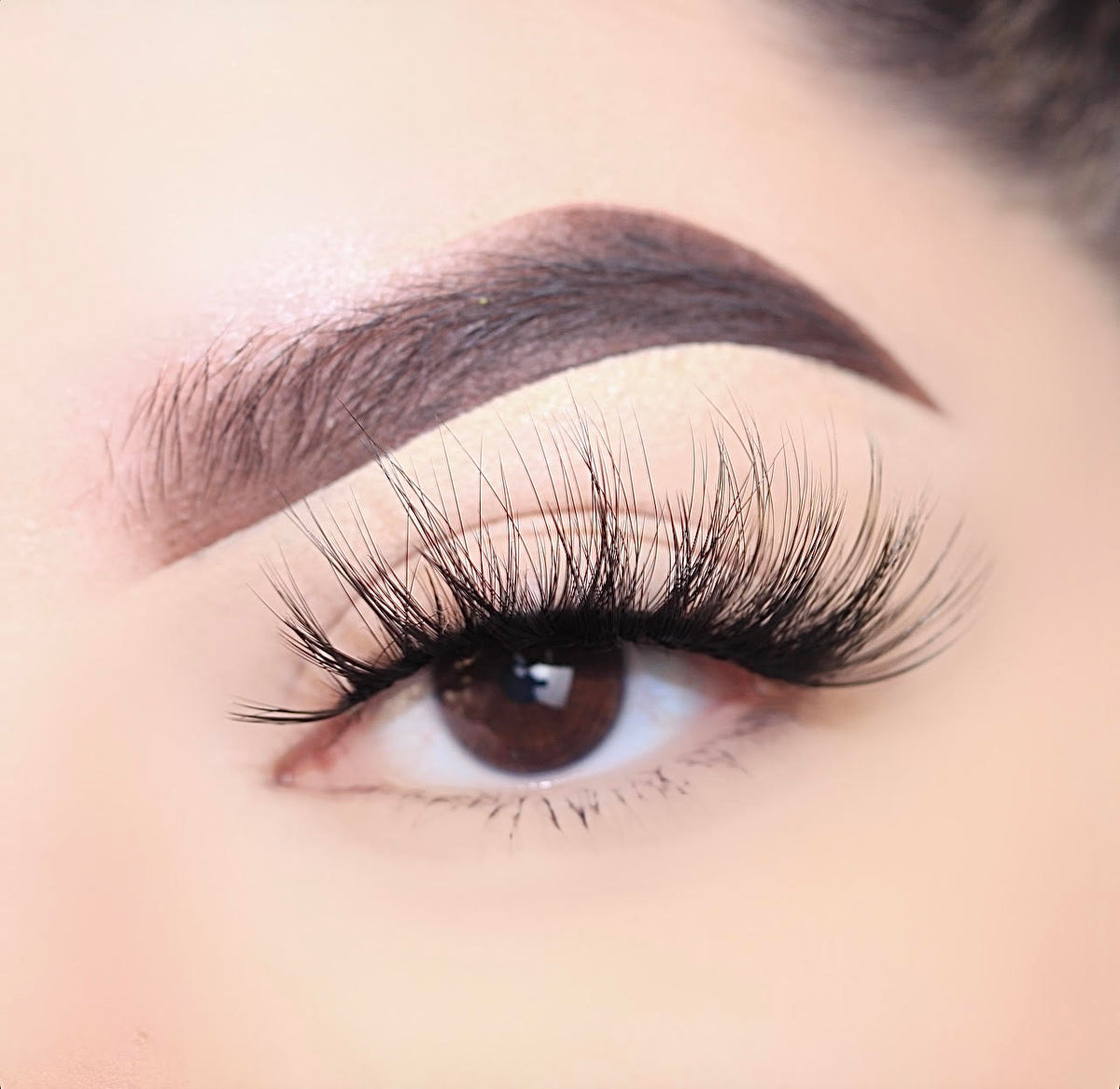 Lashes 100% Human eyelashes - 3D Lashes by Poshmellow - Poshmellow Beauty