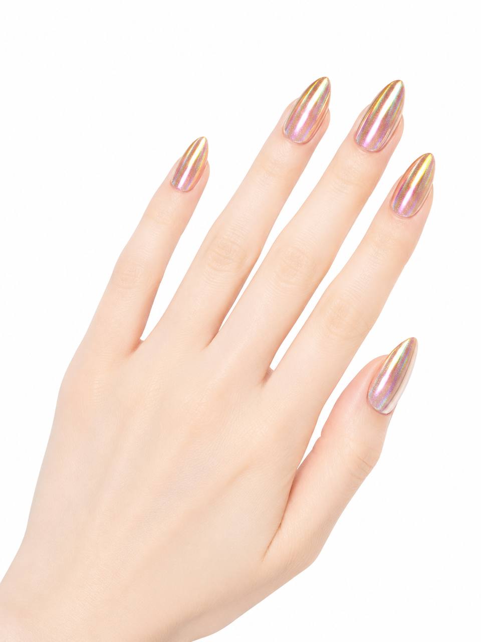 Magnet Affair - Biscuit Bliss 65252