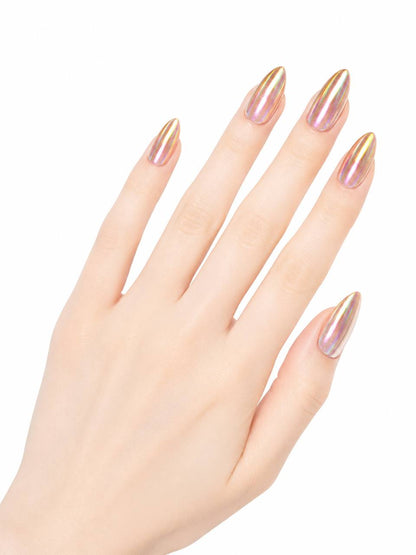 Magnet Affair - Biscuit Bliss 65252