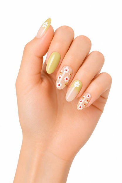 Petal Dream 65560