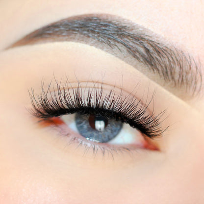 3D Tapered Lashes Enchanted