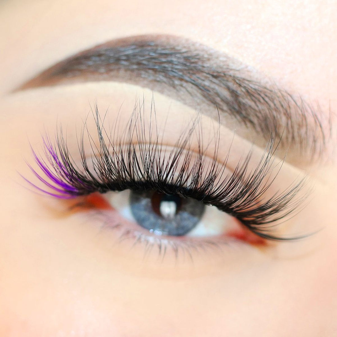 Mink Lashes Color Lashes - Purple Lashes by Poshmellow